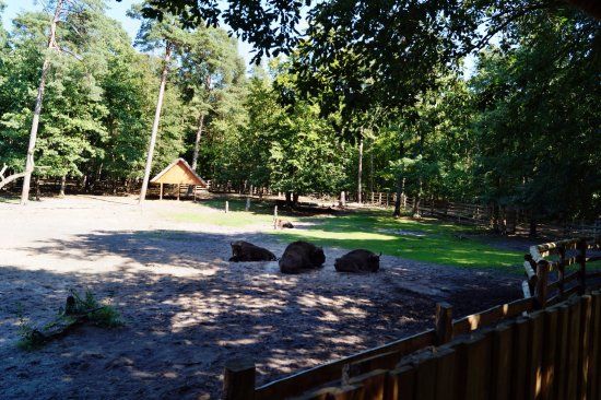 Woliński Park Narodowy